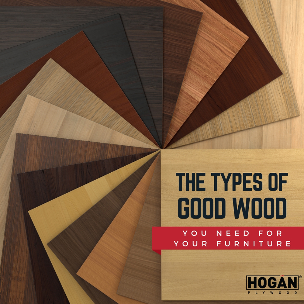 The Best Wood for Furniture Hogan Top Plywood Manufacturer In Ahmedabad